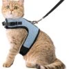 Kattentuigje Met Leiband Riem Kattenharnas Blauw Variant Maat L Kat & Kitten – Dieren Kattenriem – Cat Leash – Halsomvang 24 Tot 33cm – Borstomvang 36 Tot 41cm – Zootic®
