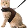Kattentuigje Met Leiband Riem Kattenharnas Bruin Maat L Kat & Kitten – Dieren Kattenriem – Cat Leash – Halsomvang 24 Tot 33cm – Borstomvang 36 Tot 41cm – Zootic®