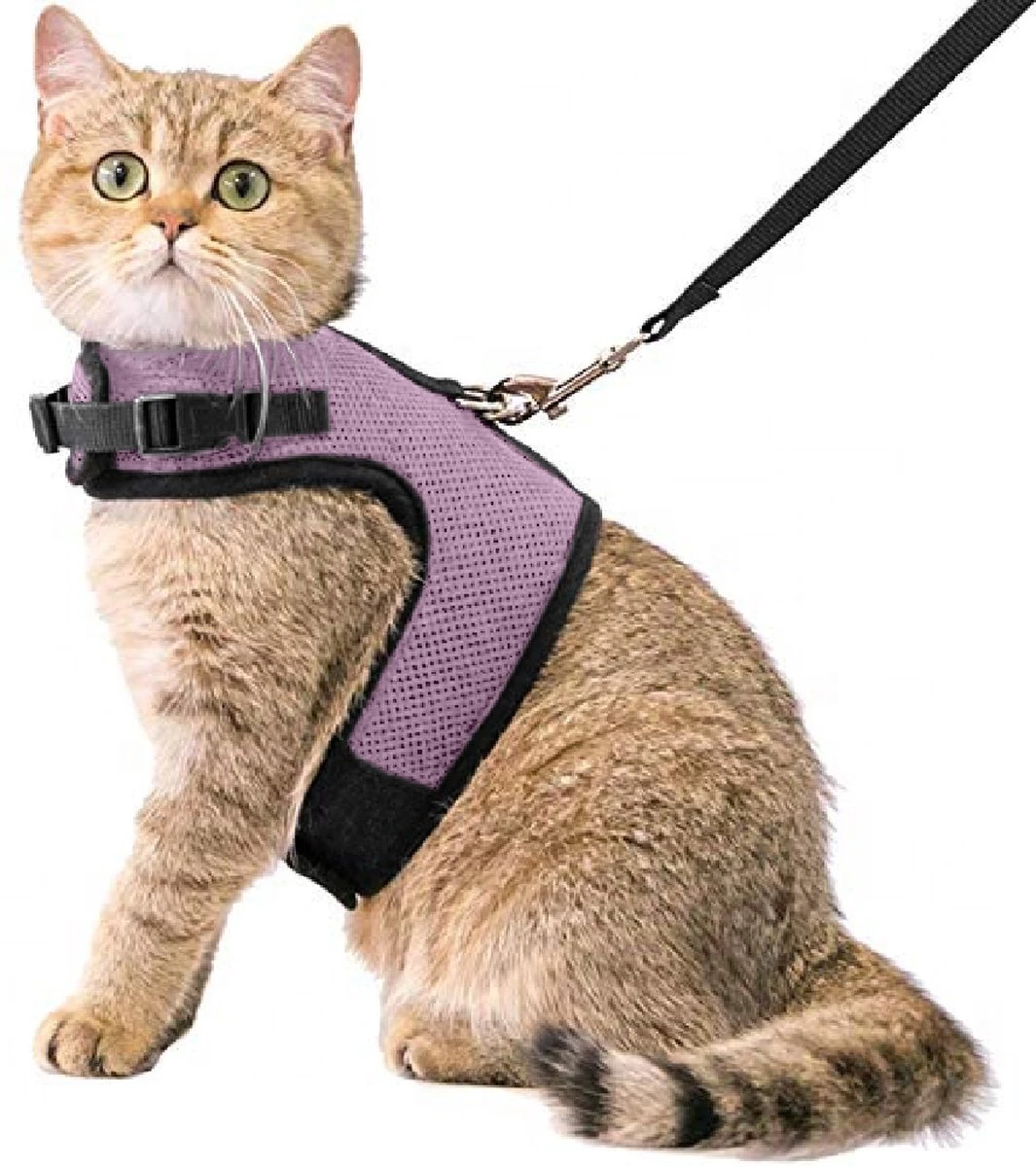 Kattentuigje Met Leiband Riem Kattenharnas Licht Paars Maat L Kat & Kitten – Dieren Kattenriem – Cat Leash – Halsomvang 24 Tot 33cm – Borstomvang 36 Tot 41cm – Zootic®