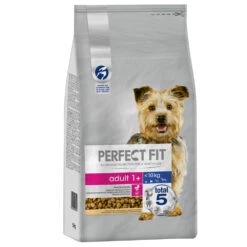 Perfect Fit 6kg Adult Hond (