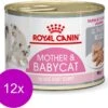 Royal Canin Wet Mother & Babycat Mousse – Kattenvoer – 195 Gr