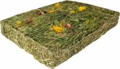 Kruidenweide Met Bloemen