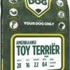 Amerikaanse Toy Terriër