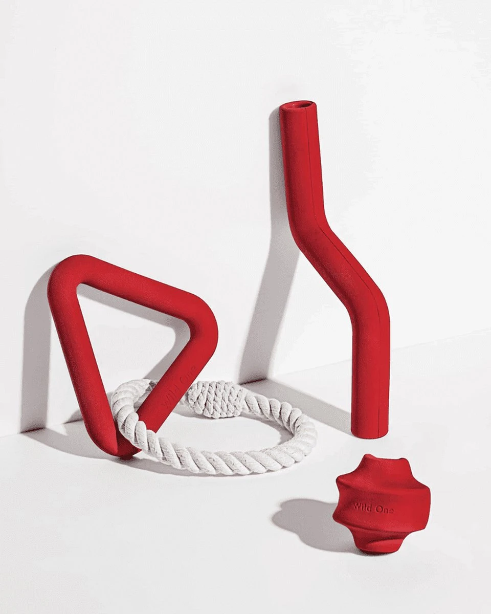 Wild One β Speelset Hond β Modern β Rubber Hondenspeeltje β Rood